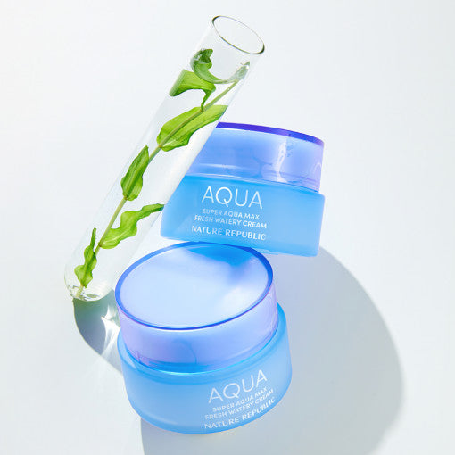 NATURE REPUBLIC Super Aqua Max Fresh Watery Cream 80ml